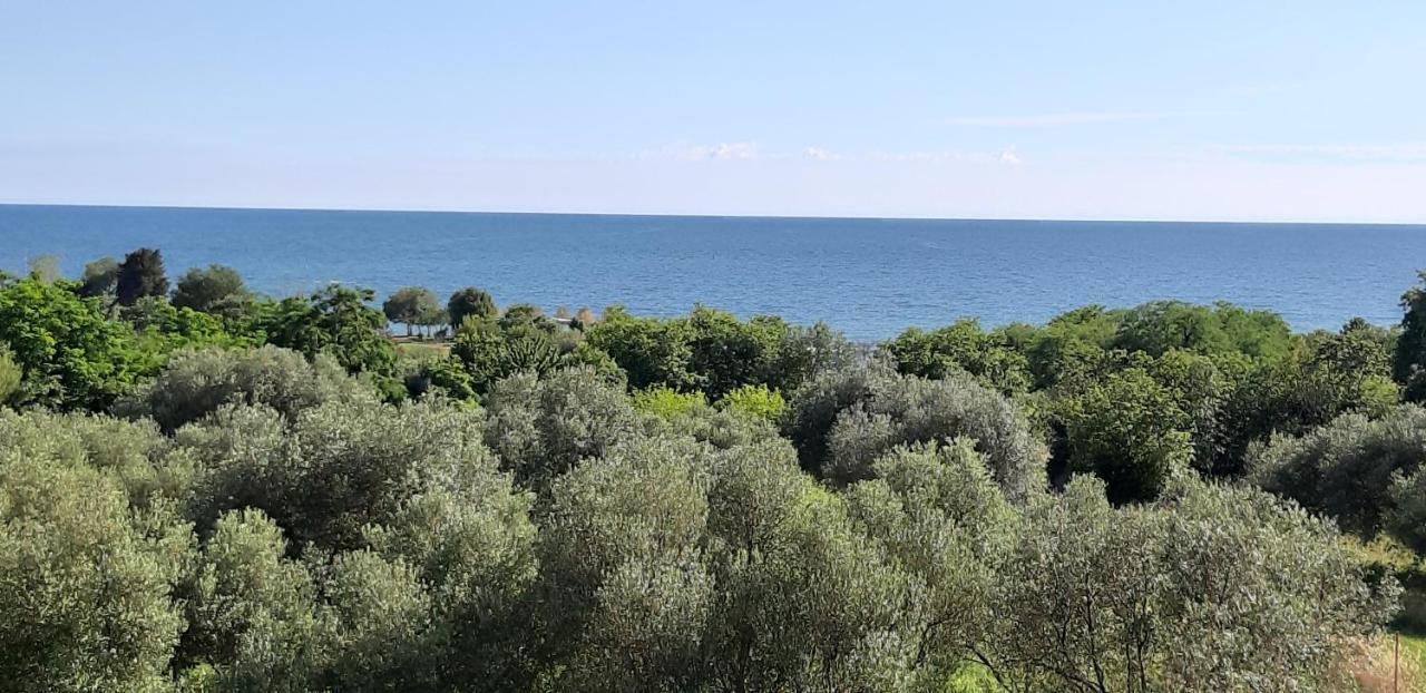 Apartment Istria Zambratija  Exterior foto